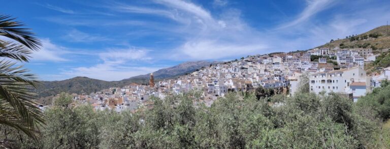 Inmobiliaria en Cómpeta - Taurus Real Estate Axarquía